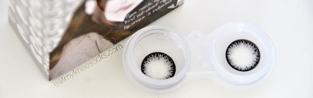 {Review} Klenspop - M.I Contact Tiara Gray Lenses - Lenses Photo of the M.I Contact Tiara Gray circle lenses in the complimentary lens case from Klenspop.