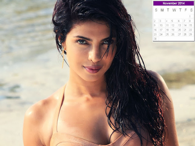 Priyanka Chopra Calendar 2014