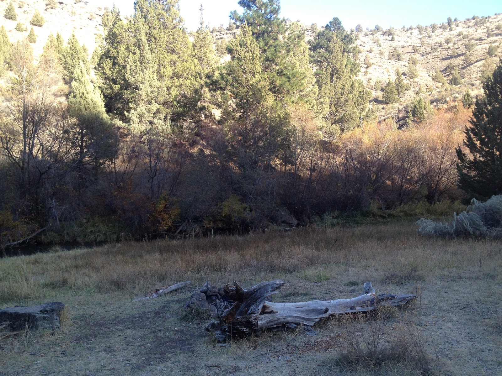 Alder Springs Trail High Desert Beauty Along Whychus Creek