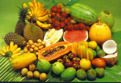 fruit market near me terraria life fruit fruit market near me terraria life fruit