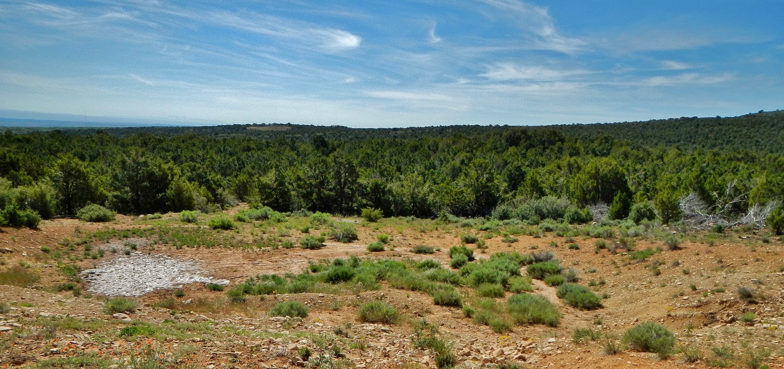 The Southwest Through Wide Brown Eyes North of Monticello Utah