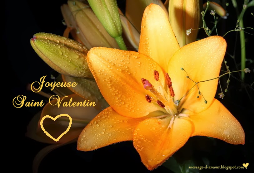carte virtuelle gratuite anniversaire de rencontre