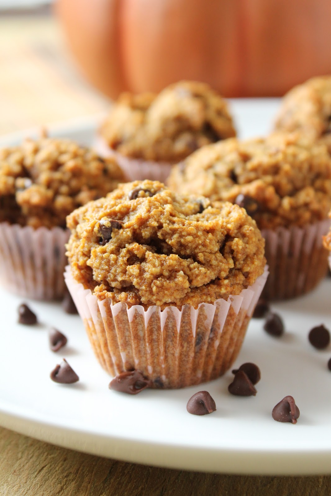 Mini Chocolate Chip Pumpkin Muffins (Made with Almond Flour
