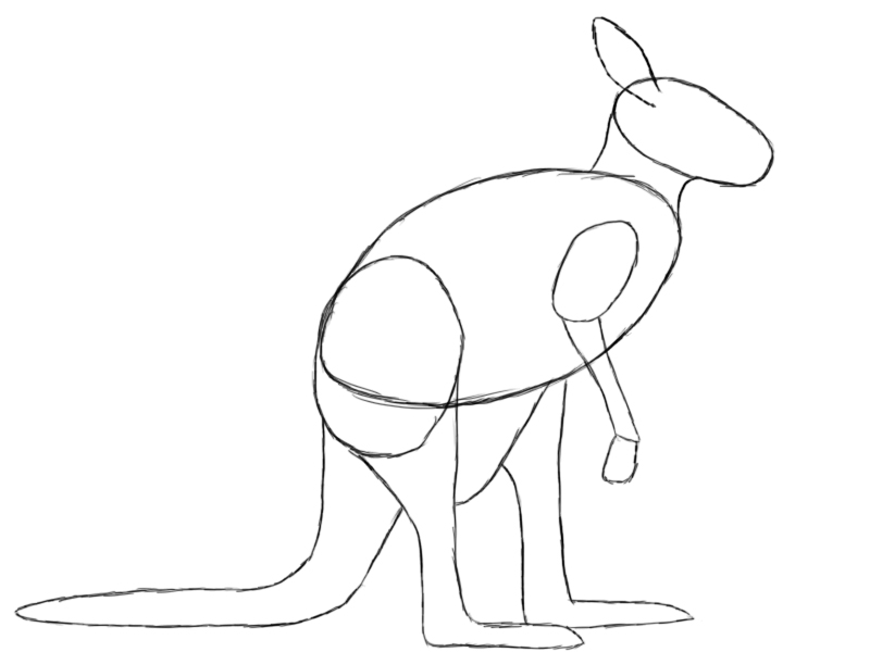 Kangaroo To Draw