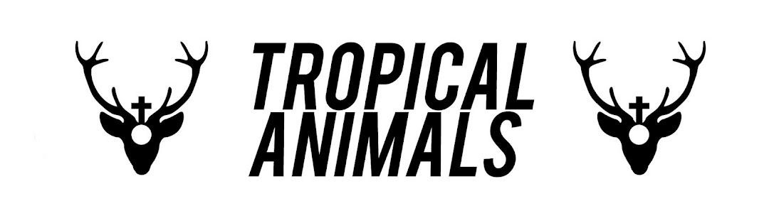 Tropical Animals