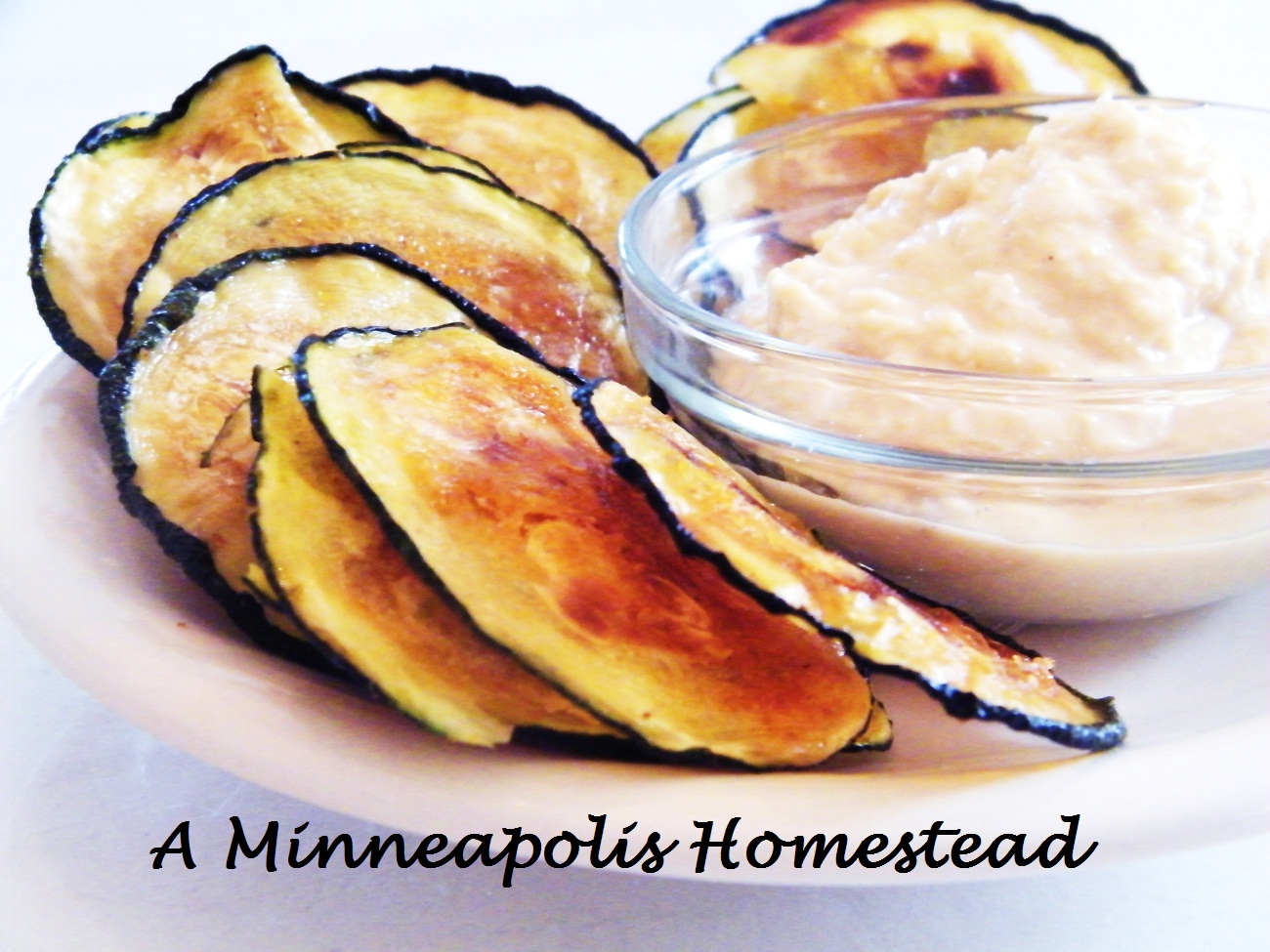 Raw Zucchini Chips Minneapolis Homestead