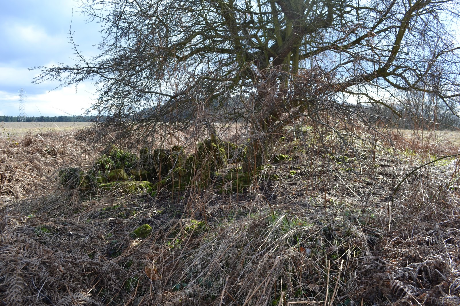 Archaeology and History of Medieval Sherwood Forest Clipstone Peel and