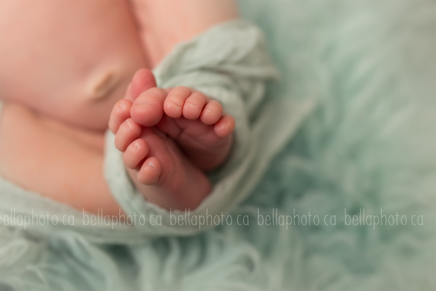 Tsawwassen newborn photography