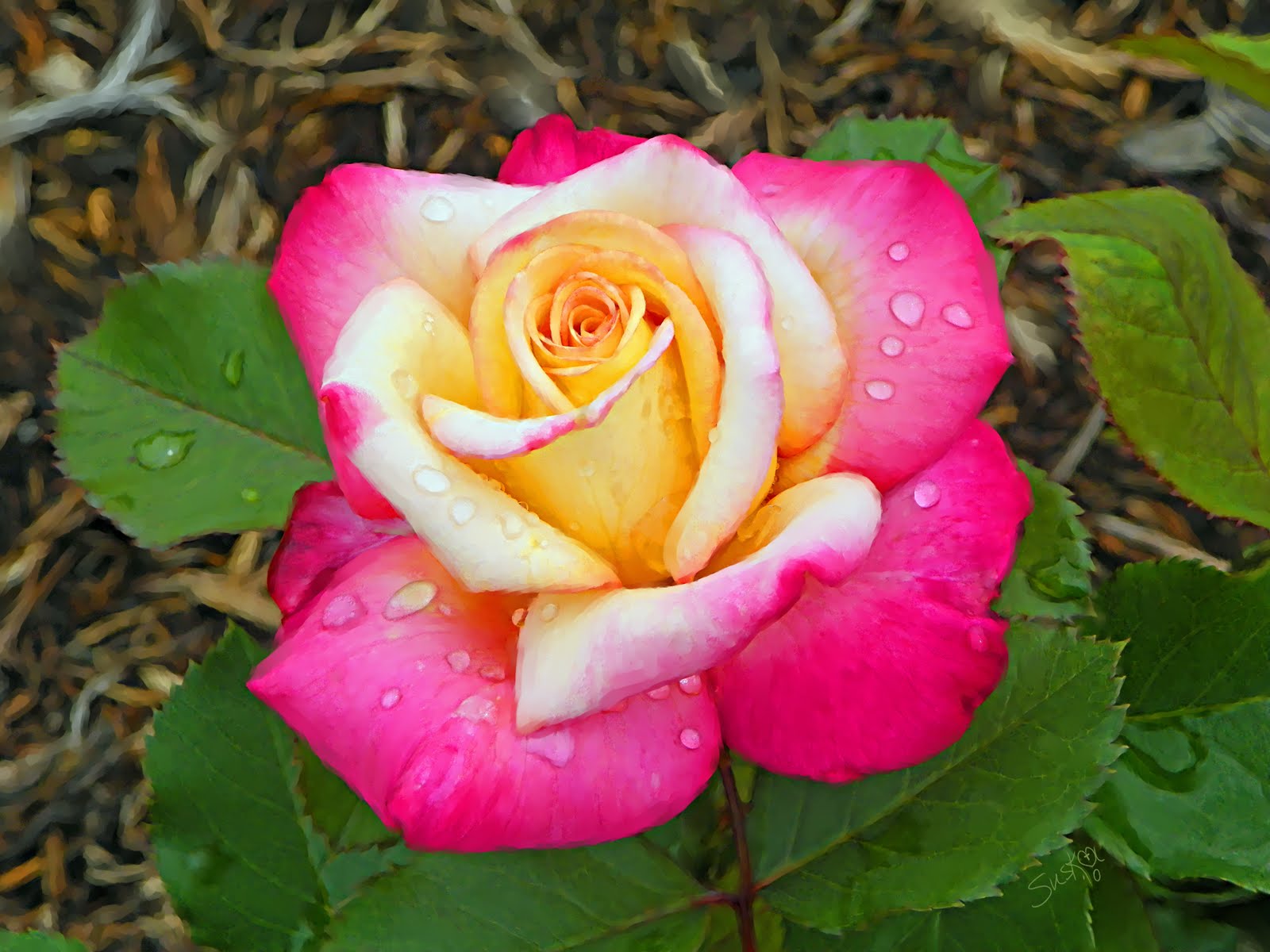 ERVAFTTERB FLOWER- Main Street Specialty Florist Shop
