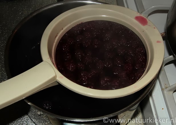 bramensap maken | natuurkieker® natuur en welzijn