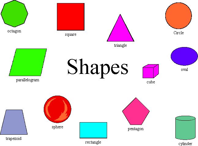 Worksheets Shape With Name no name vocabulary part of body and shape shape