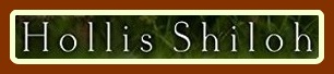 Men Like Us by Hollis Shiloh Men Like Us by Hollis Shiloh