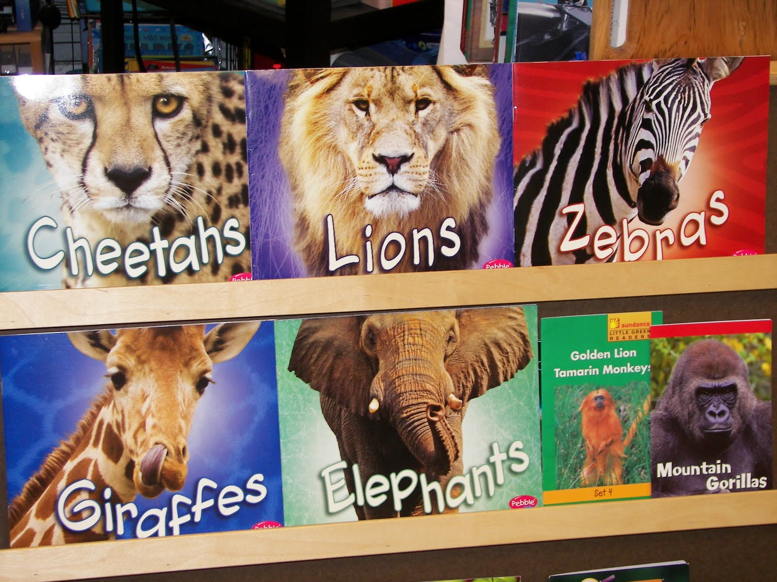 Harcourt Reading Books 1St Grade