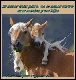 El amor más puro es el amor entre una madre y un hijo El amor más puro es el amor entre una madre y un hijo