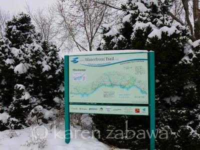 Snow covered trees frame Waterfront Trail Sign Port Credit. Snowfall blankets evergreen trees around the Waterfront Trail sign at the Port Credit Marina.