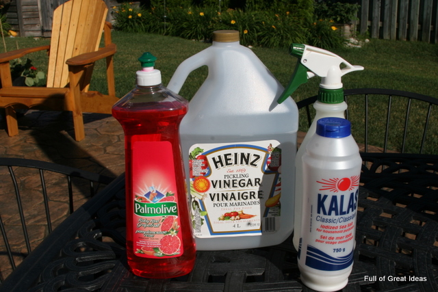 Will vinegar and water kill weeds?