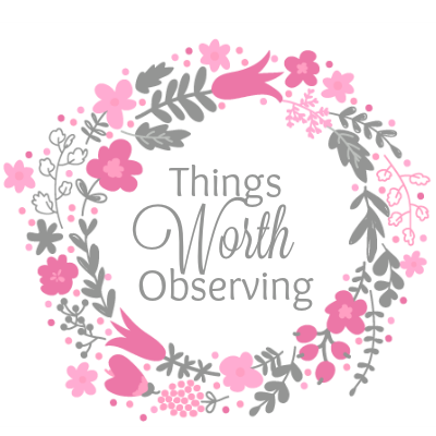 Things Worth Observing