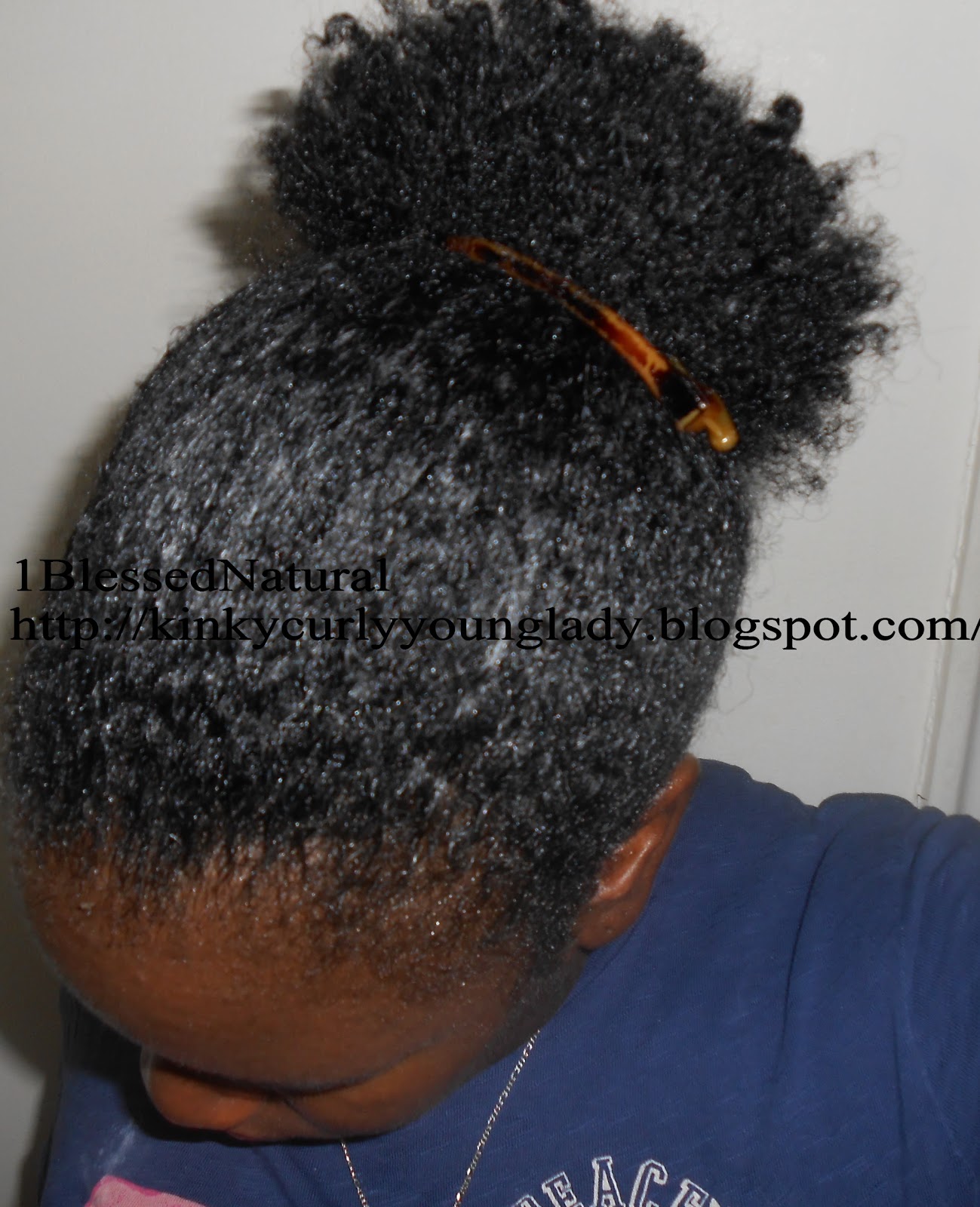 Hair Update Banana Clip Ponytail Puff