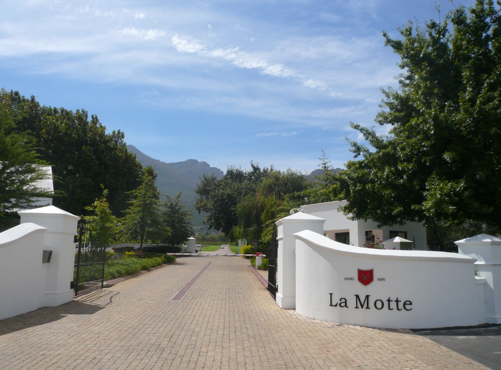 Positive Eating Positive Living Le vignoble La Motte, Franschhoek