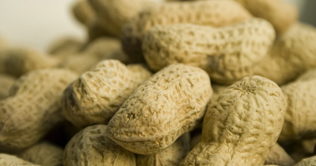 Mothers Who Eat Peanuts During Pregnancy Lowers Risk of Peanut Allergy