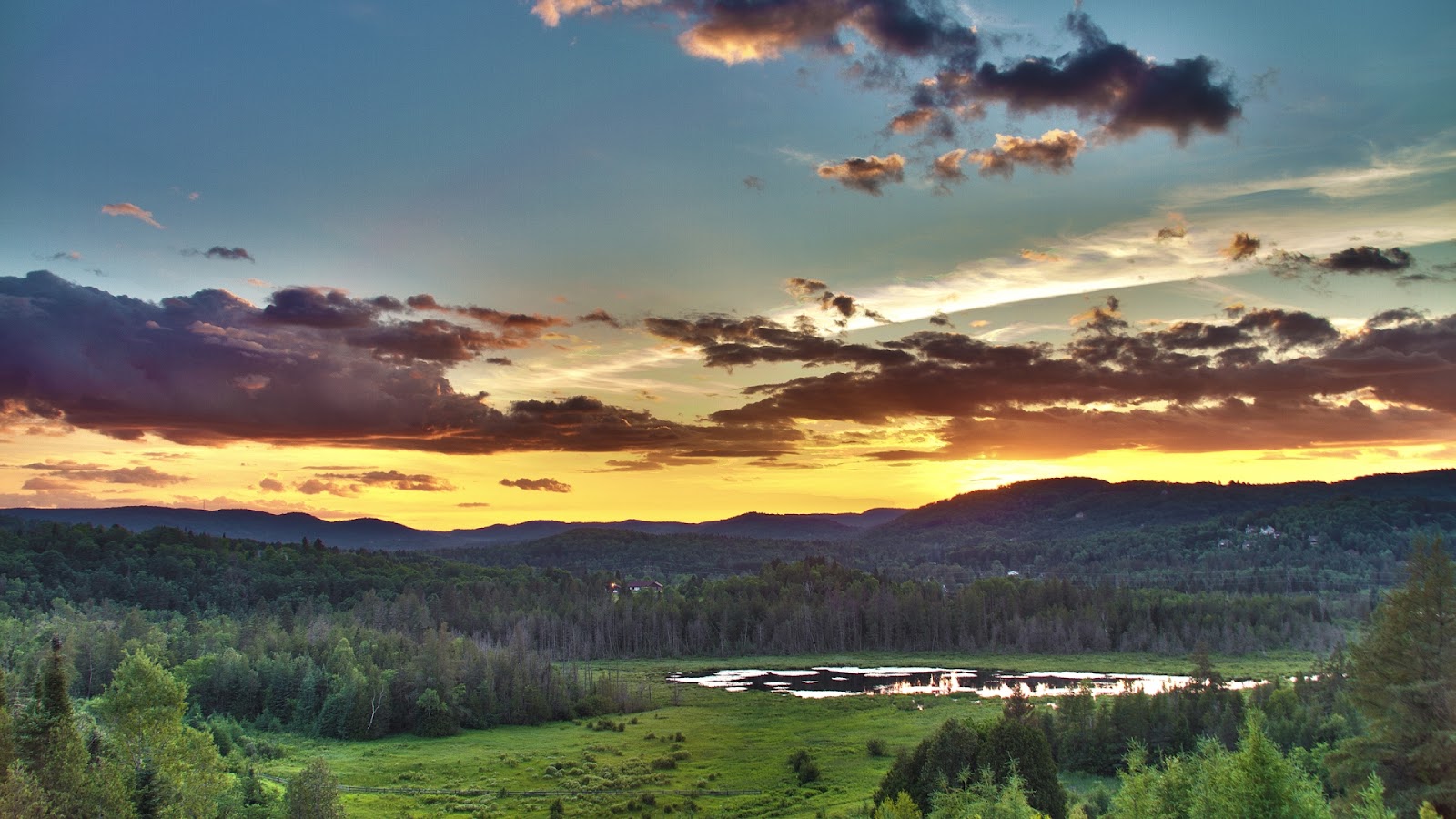 http://4.bp.blogspot.com/-J_2VT4Q6QOQ/UC4U4-IAxMI/AAAAAAAAB2s/BNriZWPXhfA/s1600/ComputerDesktopWallpapersCollection446_079.jpg