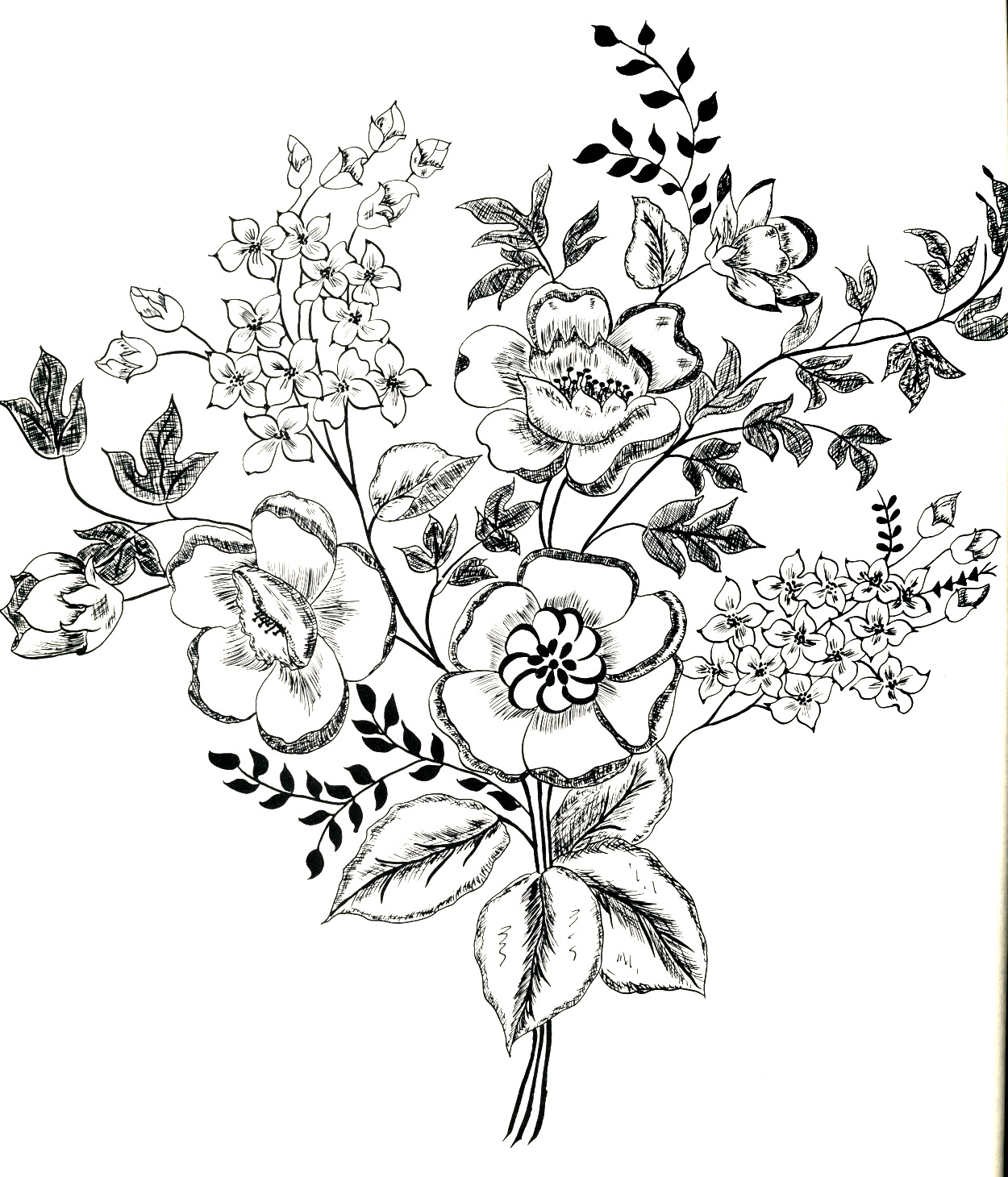 Flower Line Drawing Vintage : Line drawings of vintage flowers pixshark