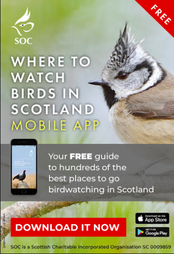 BIRDING RESOURCES