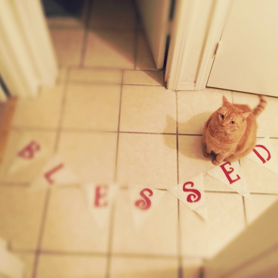 Sunshine to the Square Inch Shepherds and Swaddling Clothes