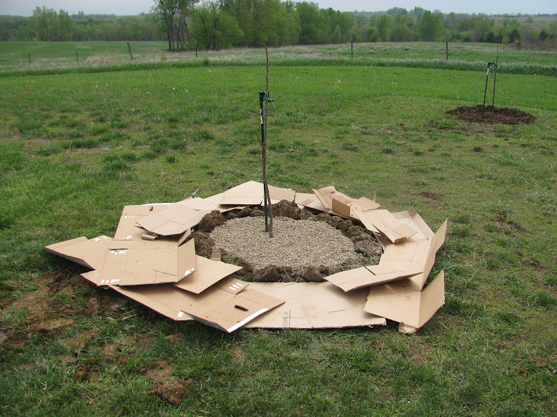 The Harried Homemaker Preps Much Ado About Mulch Why and How to Use