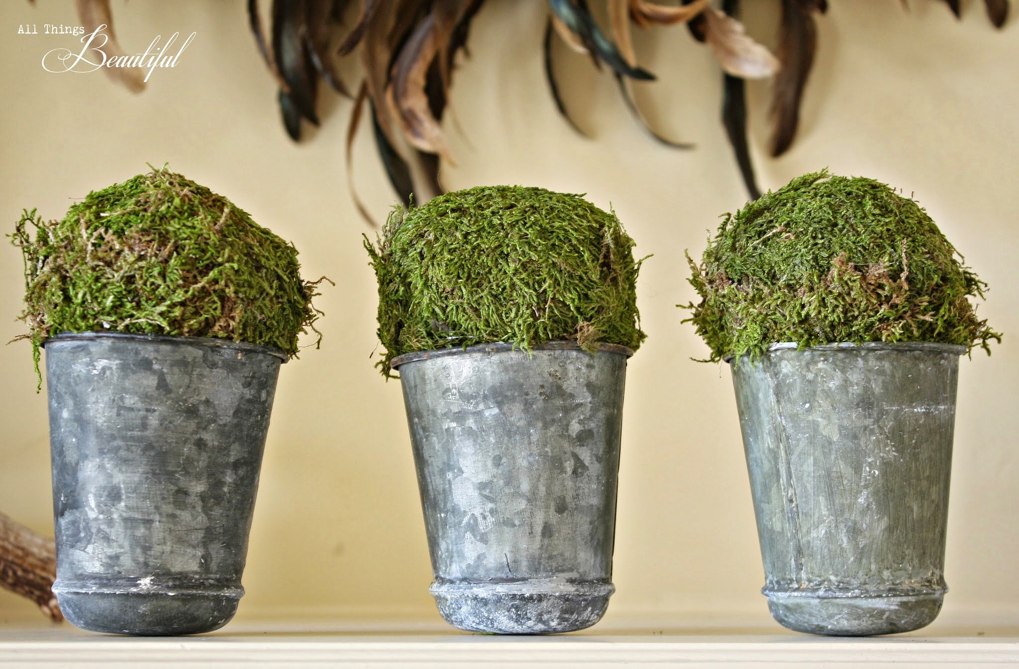 All Things Beautiful DIY Moss Zinc Pots