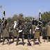 Boko Haram Kills At Least 15 Villagers in Niger Attack
