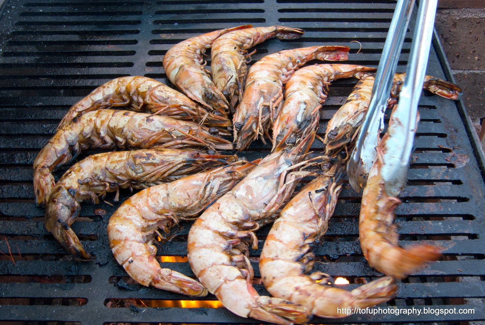 Tofu Photography Giant tiger prawns