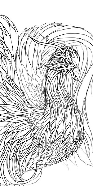 Phoenix Bird Tattoo Designs Tattoos Zimbio 300x600px