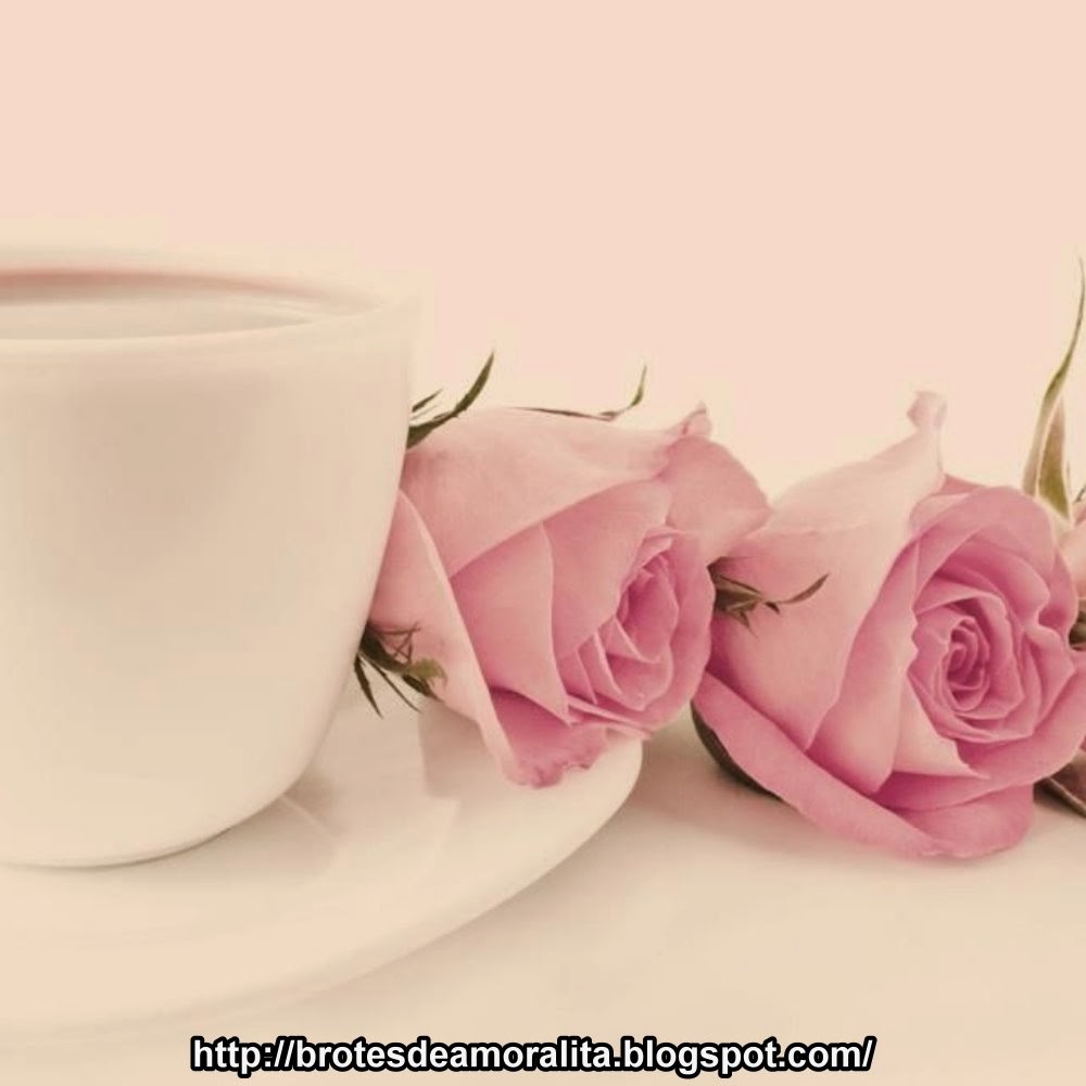 VIDEO OREJA VAN GOGH MIL ROSA video oreja van gogh mil rosa: