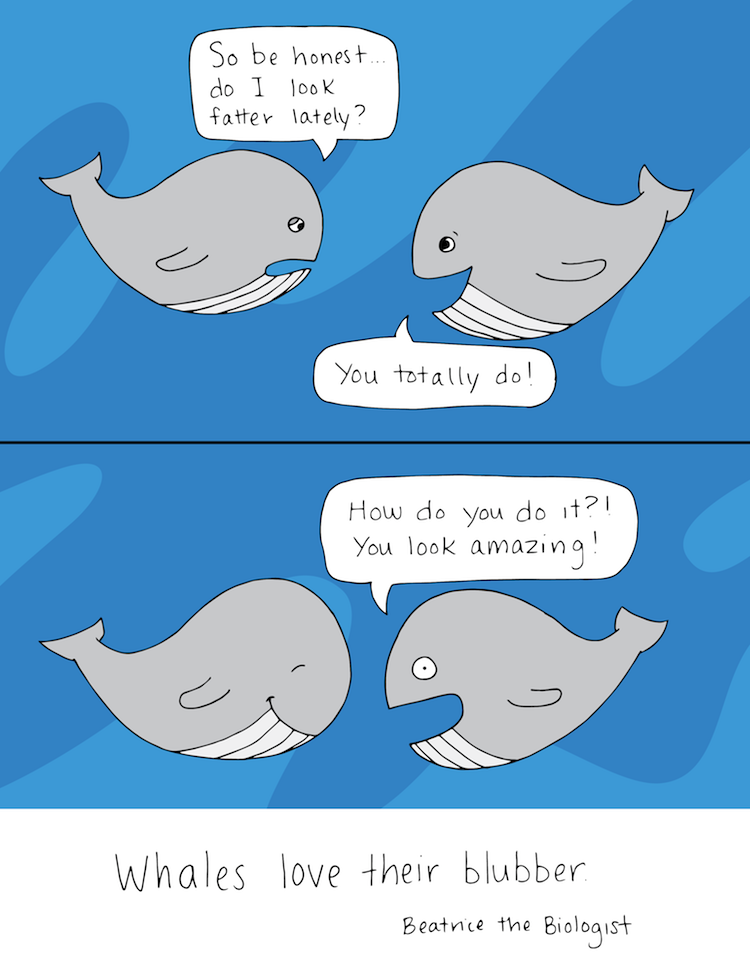 Whale Blubber Beatrice the Biologist
