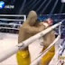 Shaolin Monk TKO'd Kicking Boxing Champion (Jordan Taylor)