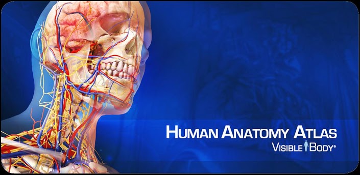 human anatomy atlas full version pc