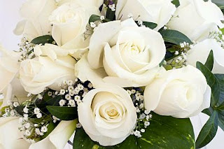Rosas Blancas con hojas verdes y flores blancas pequeñas. Rosas Blancas con hojas verdes y flores blancas pequeñas.
