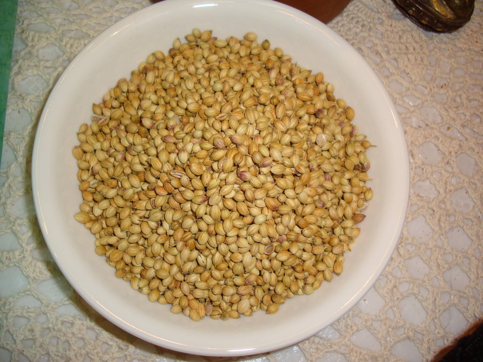 Taste of Nepal Coriander Seeds Dhania ko Geda (धनियाँ)