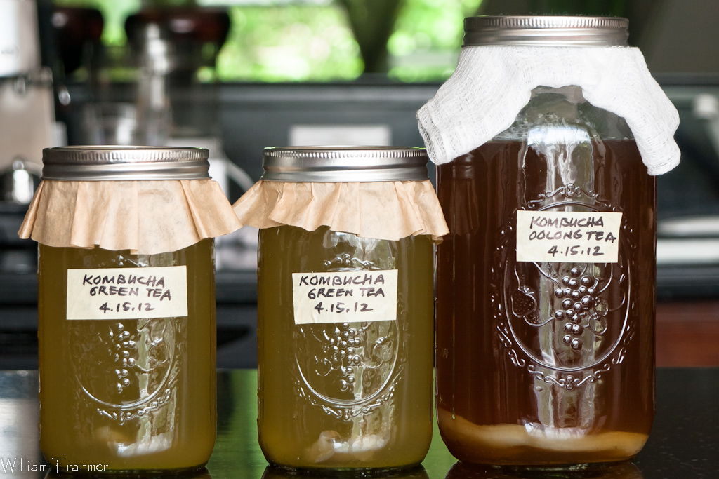 A Dose of Frosting.. Kombucha It’s spring and it’s growing, let’s