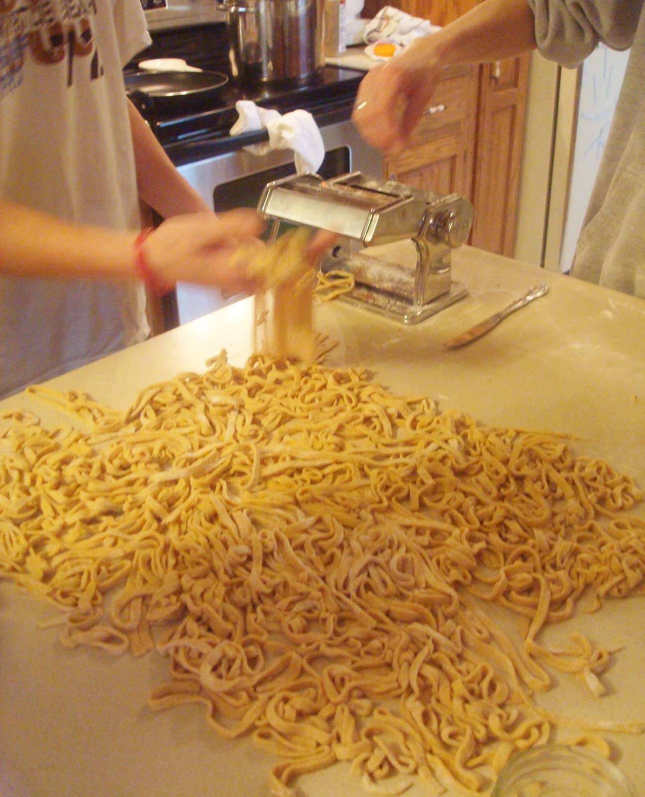 Big Happy Nest Easy Homemade Noodles
