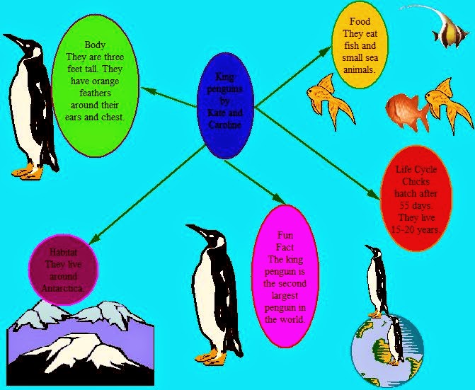 Inquiring Minds Go to Library! Ms. N's Library Blog: First Grade Penguin  Research