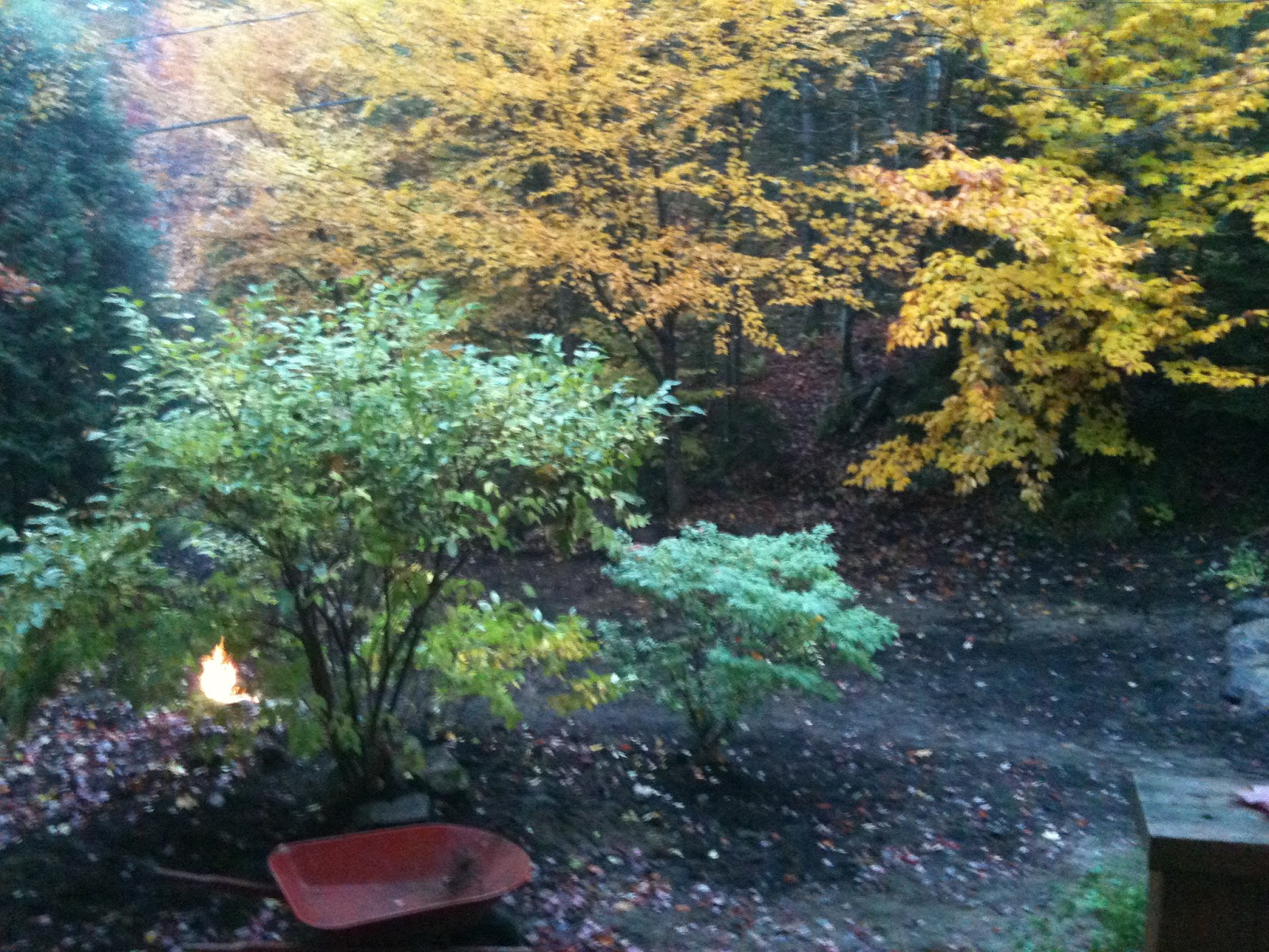 An Anglo in Québec Fire Pit 101