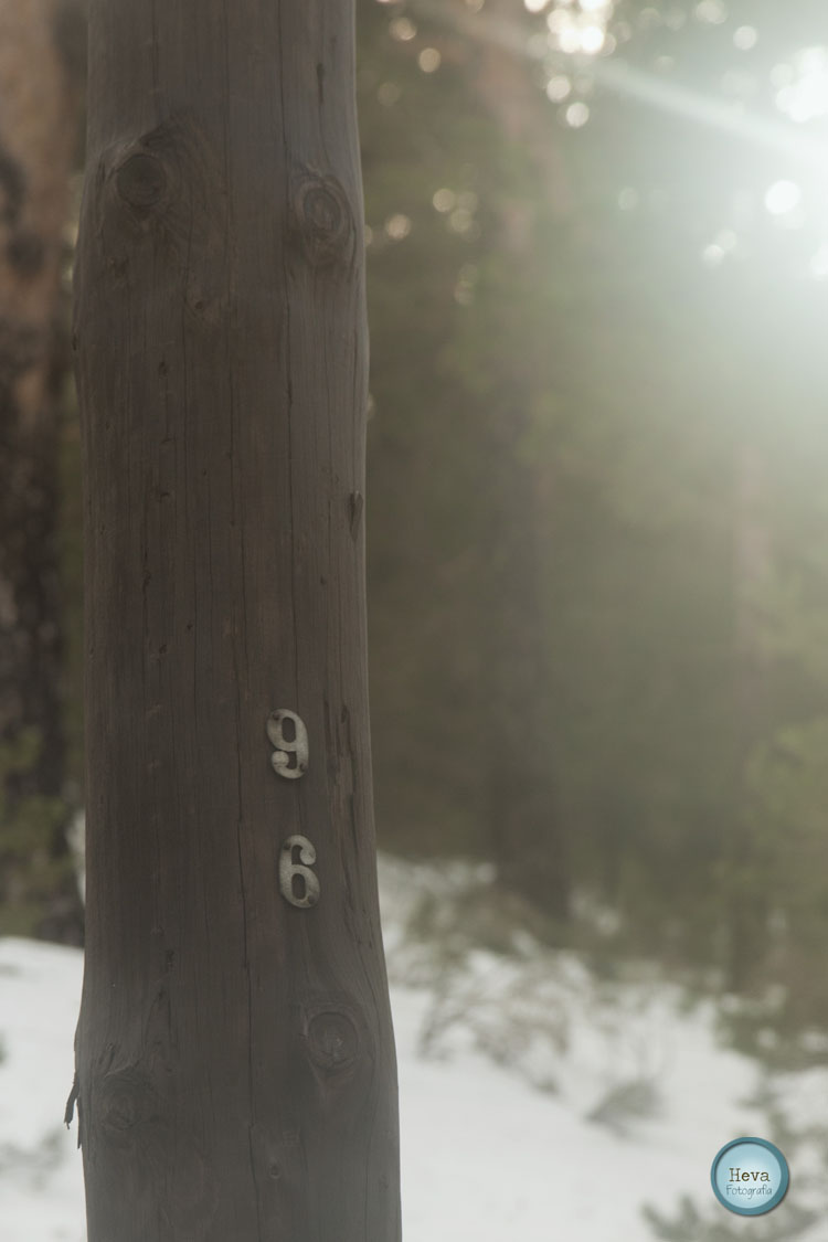 Ya de vuelta en casa, me apetecíapreparar una crema calentita…