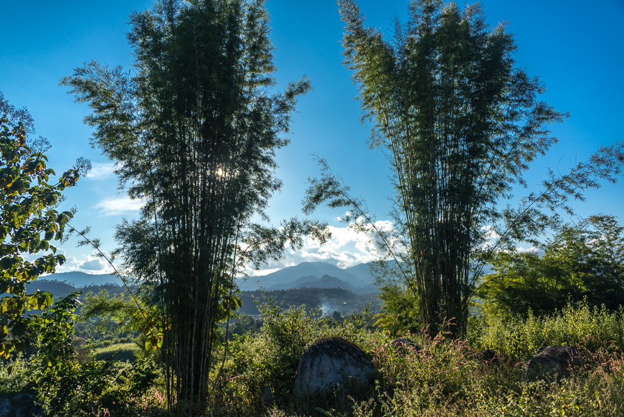 A trip to the neighborhood of the Pai