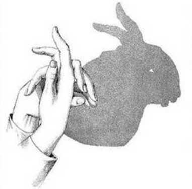 Beautiful creations with shadows.4
