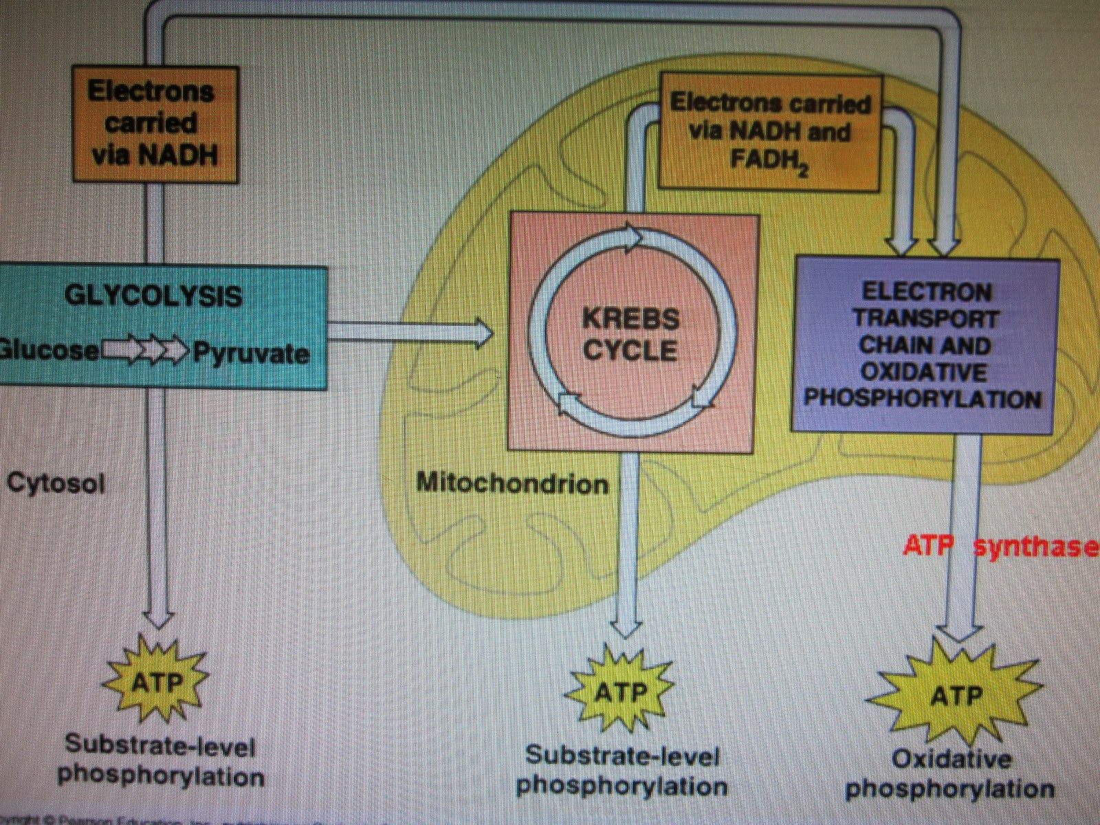 Making Energy