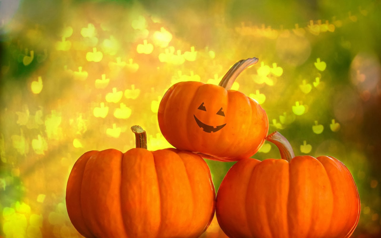 Pumpkin Patch Screensavers Free
