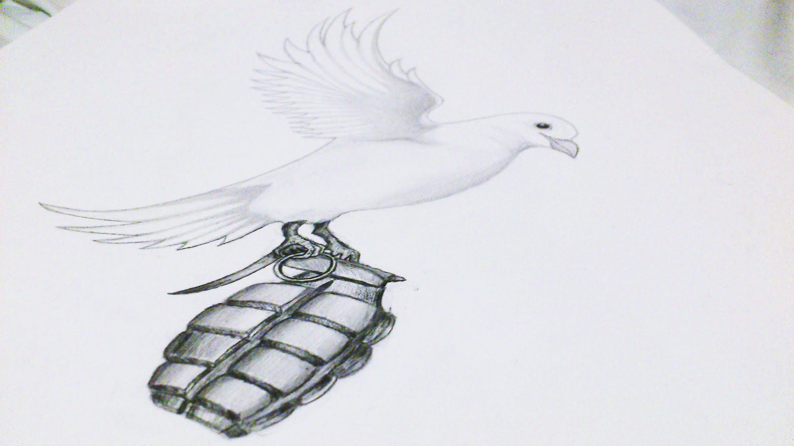 Uel First Year Graphics Illustrations Dove And Grenade