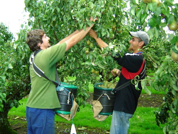 Seasonal Jobs Apply